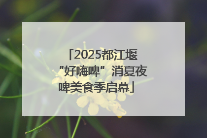 2025都江堰“好嗨啤”消夏夜啤美食季启幕