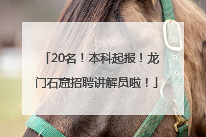 20名！本科起报！龙门石窟招聘讲解员啦！