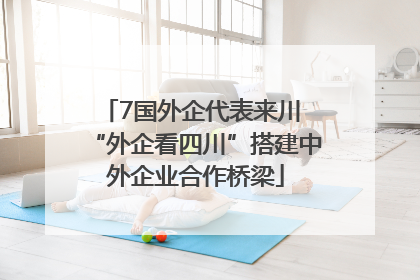 7国外企代表来川 “外企看四川”搭建中外企业合作桥梁