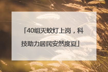 40组灭蚊灯上岗，科技助力居民安然度夏