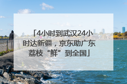 4小时到武汉24小时达新疆，京东助广东荔枝“鲜”到全国