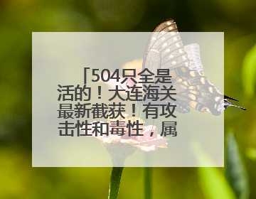 504只全是活的！大连海关最新截获！有攻击性和毒性，属于外来物种