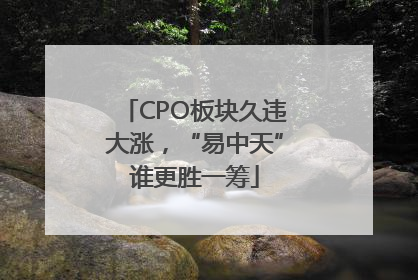 CPO板块久违大涨，“易中天”谁更胜一筹