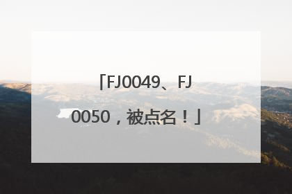 FJ0049、FJ0050，被点名！