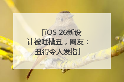 iOS 26新设计被吐槽丑，网友：丑得令人发指